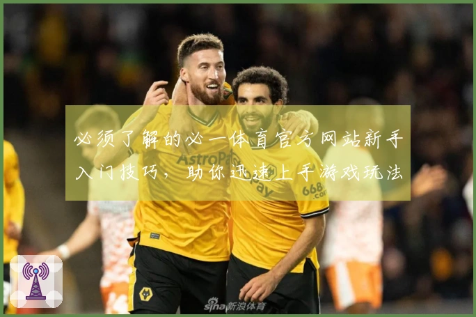 必须了解的必一体育官方网站新手入门技巧，助你迅速上手游戏玩法