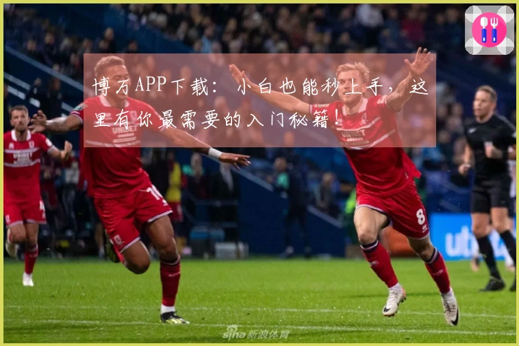 博万APP下载：小白也能秒上手，这里有你最需要的入门秘籍！