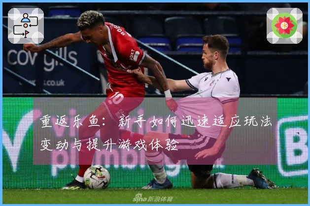 重返乐鱼：新手如何迅速适应玩法变动与提升游戏体验