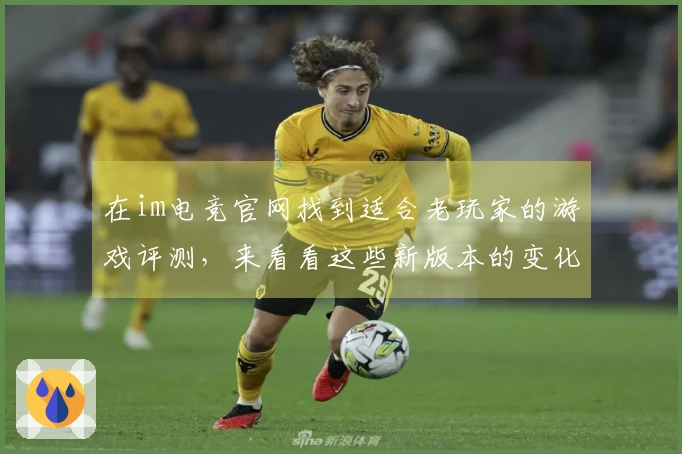 在im电竞官网找到适合老玩家的游戏评测，来看看这些新版本的变化与技巧吧！