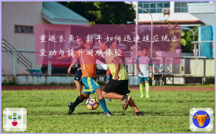 重返乐鱼：新手如何迅速适应玩法变动与提升游戏体验